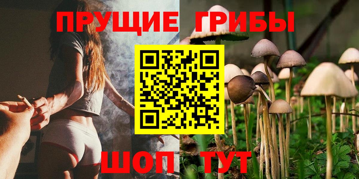 Галлюциногенные грибы Psilocybine cubensis  Вход с VPN  Псилоцибиновые грибы прущие грибы  Дзержинский 